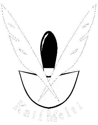 KnifMelti - the Company...